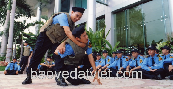 Bảo vệ Đất Việt đào tạo võ thuật